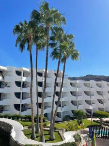 a group of palm trees in front of a building at ELKO Apartman in Mogán