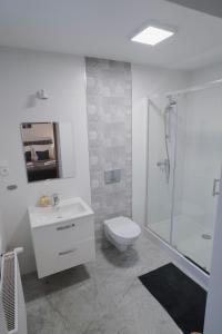 a white bathroom with a toilet and a shower at Willa Nowa 33 in Wisła +46 photos