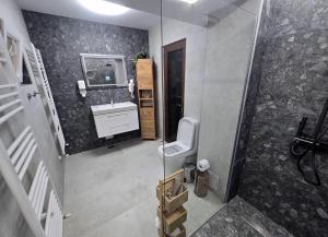 ein Badezimmer mit Waschbecken, Toilette und Spiegel in der Unterkunft BlueBee Hive in Orăştie