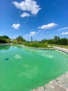 a pool of emerald green water in a yard at Agriturismo Villa Adimari in Cerreto Guidi