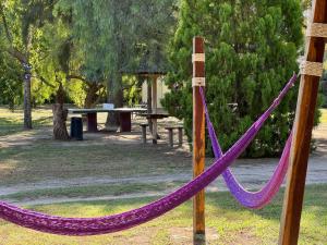a purple hammock in a park with a picnic table at Refugio de Luna Termal in Termas de Río Hondo