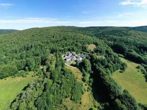 an aerial view of a house in the middle of a forest at Gîte Des Houx in Le Soulié