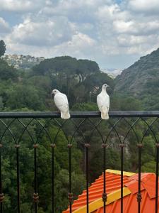 two white birds sitting on top of a railing at The Oasis Healing Resort in Mazraat Kafrâ