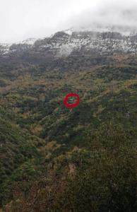 a red frisbee flying in the air over a forest at The Oasis Healing Resort in Mazraat Kafrâ