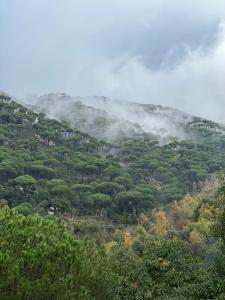 a misty mountain with trees and houses on it at The Oasis Healing Resort in Mazraat Kafrâ
