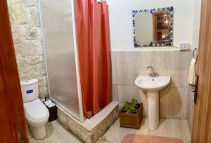 a bathroom with a shower and a toilet and a sink at The Oasis Healing Resort in Mazraat Kafrâ
