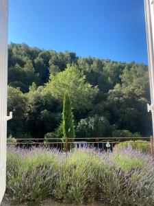 a garden with purple flowers in front of a mountain at Maison des Cigales a heavenly setting in Saumane-de-Vaucluse