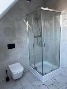 a bathroom with a shower and a toilet at City Center Szczytno III in Szczytno
