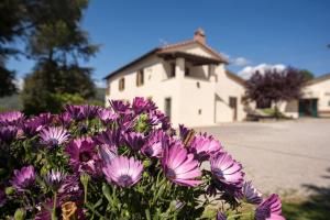 a bunch of purple flowers in front of a building at Il Pozzo degli Angeli in Cortona