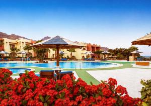 a resort with a swimming pool and red flowers at Tropitel Dahab Oasis in Dahab