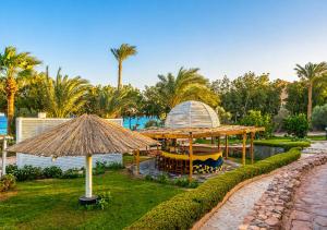 a resort with a pool and a table with a boat at Tropitel Dahab Oasis in Dahab