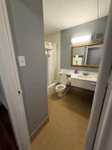 a bathroom with a toilet and a sink and a mirror at Noble Suites in Albany