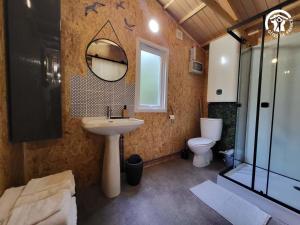 a bathroom with a sink and a toilet and a mirror at La cachette du G in Bellebrune