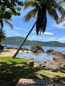 a palm tree leaning over a beach with the ocean at Casa Por Do Sol in Paraty