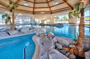 a large swimming pool with palm trees in a resort at P1 The Warren Abersoch in Llanbedrog