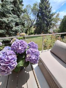 a vase filled with purple flowers sitting on a balcony at Villa Hortensia in Aszófő