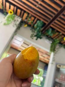 a person holding a small fruit in a grocery store at Aparta hotel brisas Del tayrona in Santa Marta