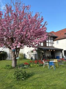 a flowering tree in the yard of a house at Ferienwohnung Prinzessinengarten in Jesberg