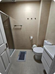a small bathroom with a toilet and a shower at Waterford Triangle Apartment in Waterford