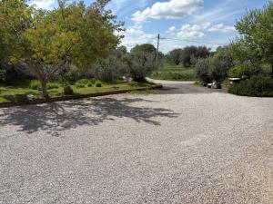 a gravel driveway with trees on the side at Casa D'Agostino in Cortona