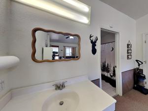 a bathroom with a sink and a mirror on the wall at Mountain View Buck Deer Cabinette in Alto
