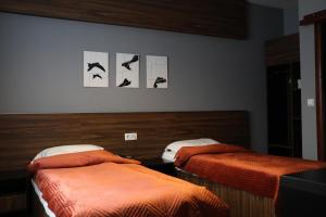 two beds in a room with birds on the wall at Prior Hotel in Prizren +75 photos