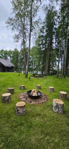 a fire pit in the middle of a field with trees at Asvejos sodyba in Skirlėnai