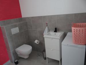 a small bathroom with a toilet and a sink at Le Galaveyson in Saint-Clair-sur-Galaure