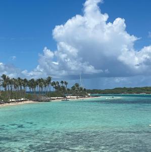 a beach with palm trees and turquoise water at Le Coeur des Iles in Sainte-Anne