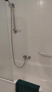 a shower in a bathroom with a green towel at Kamerverhuur Bascule in Roeselare