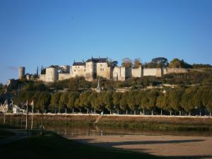 Gallery image of Chez Elisa in Chinon