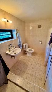 a bathroom with a white toilet and a sink at Chata Sekule in Sekule +38 photos