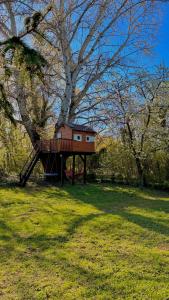 a tree house in the middle of a field at Chata Sekule in Sekule