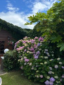 a bush of flowers in front of a house at Silverleigh Spa LTD in Fawkham