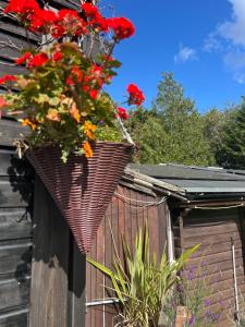 a flower basket on the side of a house with red flowers at Silverleigh Spa LTD in Fawkham +16 photos