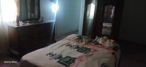 a bedroom with a bed and a dresser and a mirror at James breazy hill in Sandy Bay