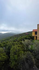 a house on top of a hill with trees at أكواخ الهدهد in Ajloun