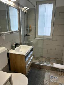 a bathroom with a sink and a shower at VYO Studio in Braşov