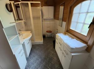 a bathroom with a sink and a toilet at Idylle Ferienhaus Ems in Walchum +17 photos