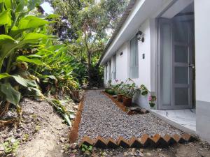 a garden next to a house with plants and a door at Casa Jardin in Ayacucho