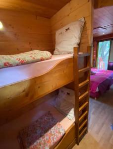 a bedroom with two bunk beds in a cabin at Roulotte de luxe avec piscine partagée à Ramatuelle in Ramatuelle