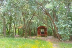 a red phone booth in the middle of a forest at Roulotte de luxe avec piscine partagée à Ramatuelle in Ramatuelle