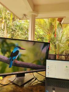 a bird sitting on a branch next to a computer monitor at Villa Sulterra in Tambor