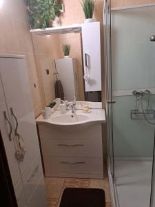 a bathroom with a sink and a shower at Pension Renata in Šediviny