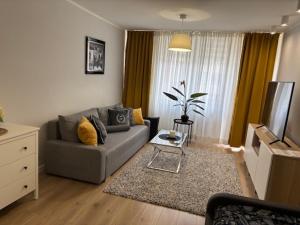 a living room with a couch and a television at Apartament Rodzinny - Classic Olszowa - in Włocławek