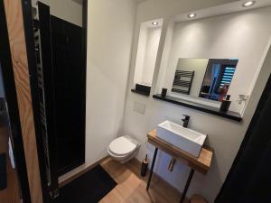 a bathroom with a toilet and a sink and a mirror at Studio neuf in Barcelonnette +7 photos