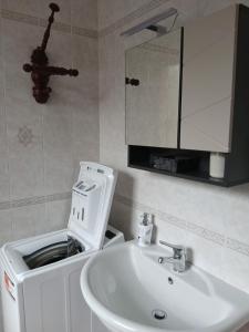 a bathroom with a sink and a mirror at Il bosso in Ciriè +49 photos
