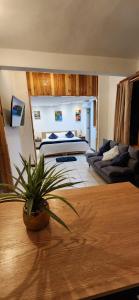 a living room with a bed and a couch at Suites Xico Oaxaca in Oaxaca City