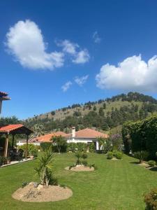 a green yard with a mountain in the background at Casa Calma in Volos