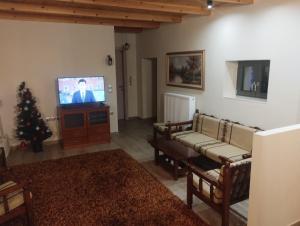 a living room with a television and a christmas tree at Οκά & δράμι in Kaléntzion